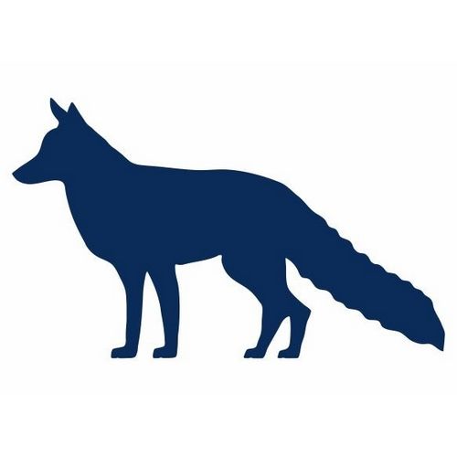 BLUEFOX Production