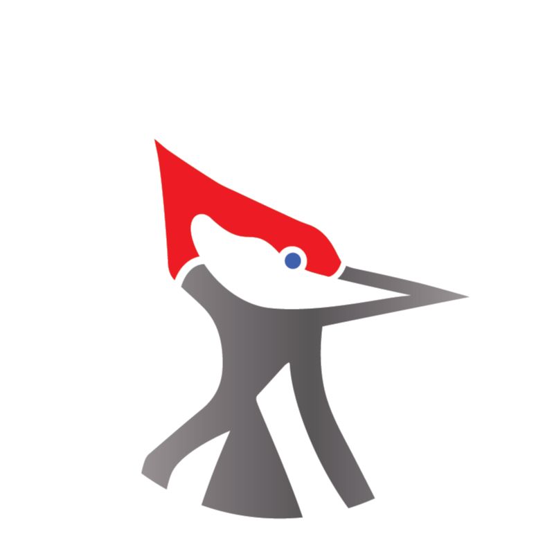 BW Sales Coaching, LLC